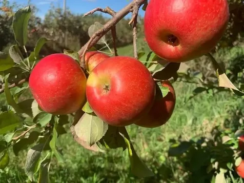 0 North River Street Swanton VT 05488