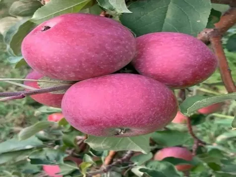 0 Church Road Swanton VT 05488