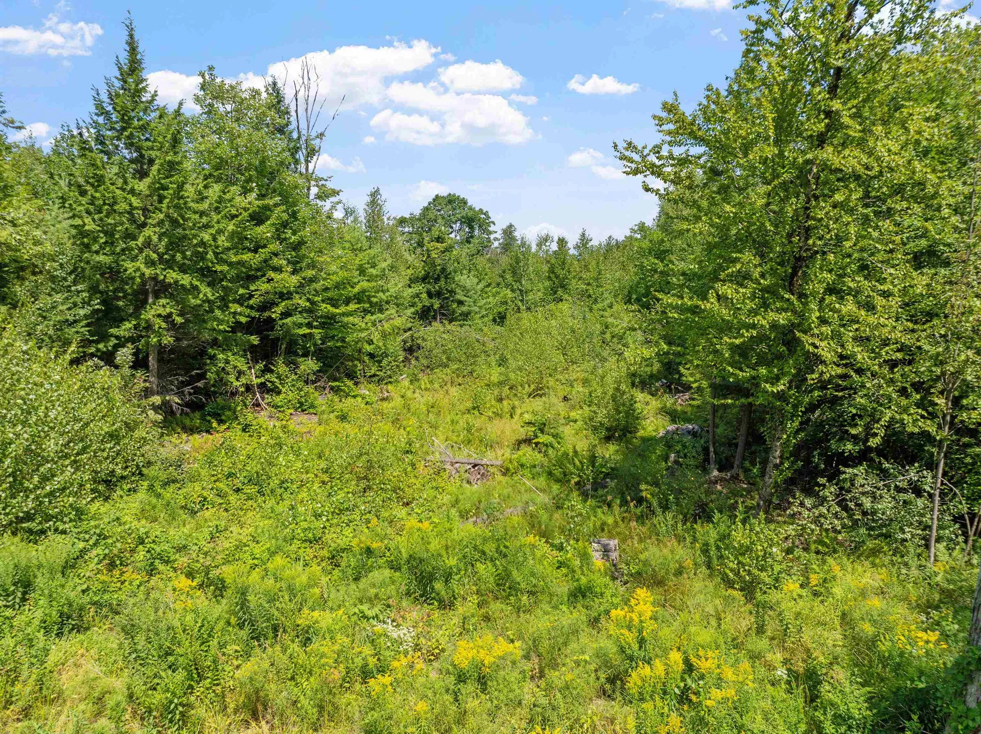 169 Turner Way Laconia NH 03246