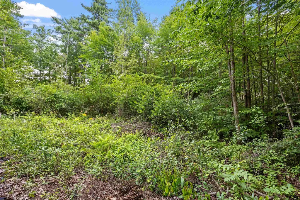 285 Bay Hill Road Northfield NH 03276