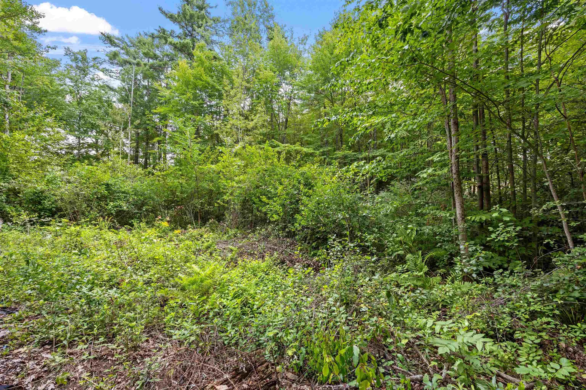 285 Bay Hill Road Northfield NH 03276