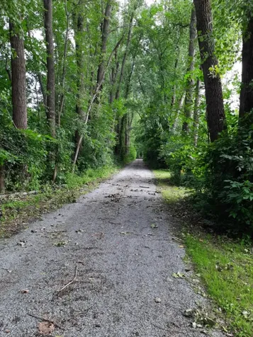 255 Canal Lane North Hero VT 05474