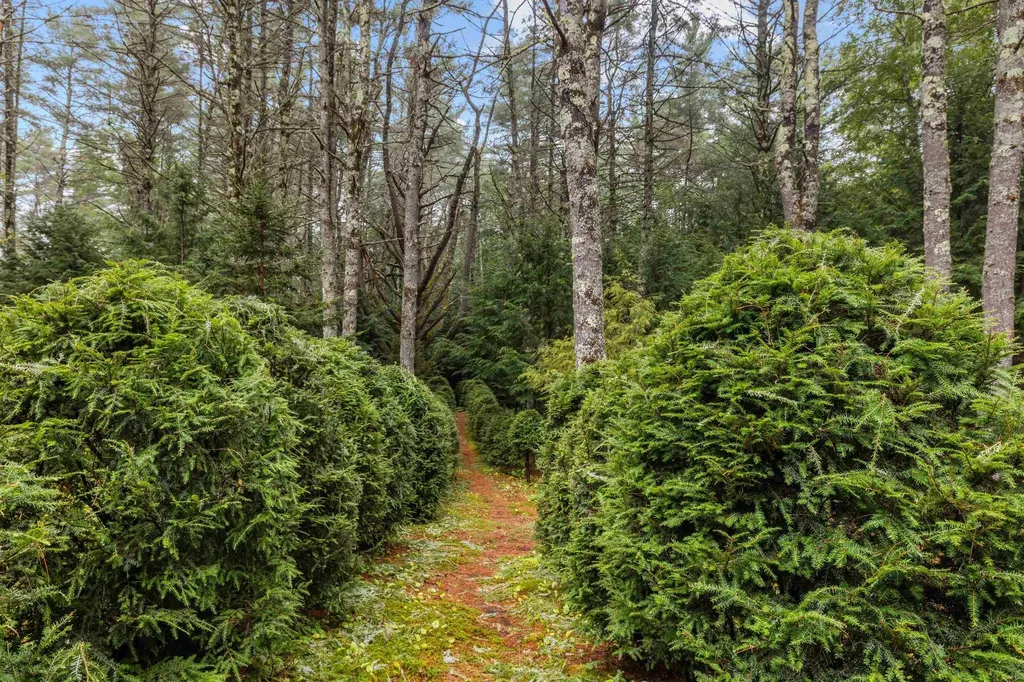 209 Whittemore Point Road S Bridgewater NH 03222