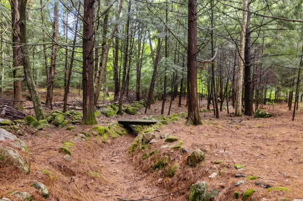 209 Whittemore Point Road S Bridgewater NH 03222