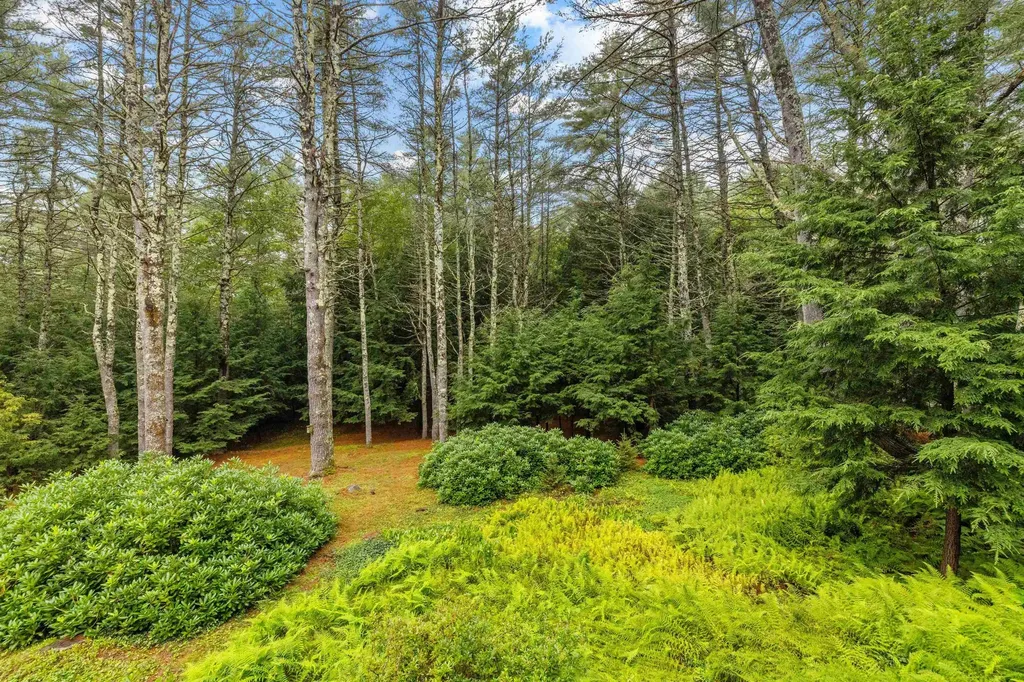 209 Whittemore Point Road S Bridgewater NH 03222