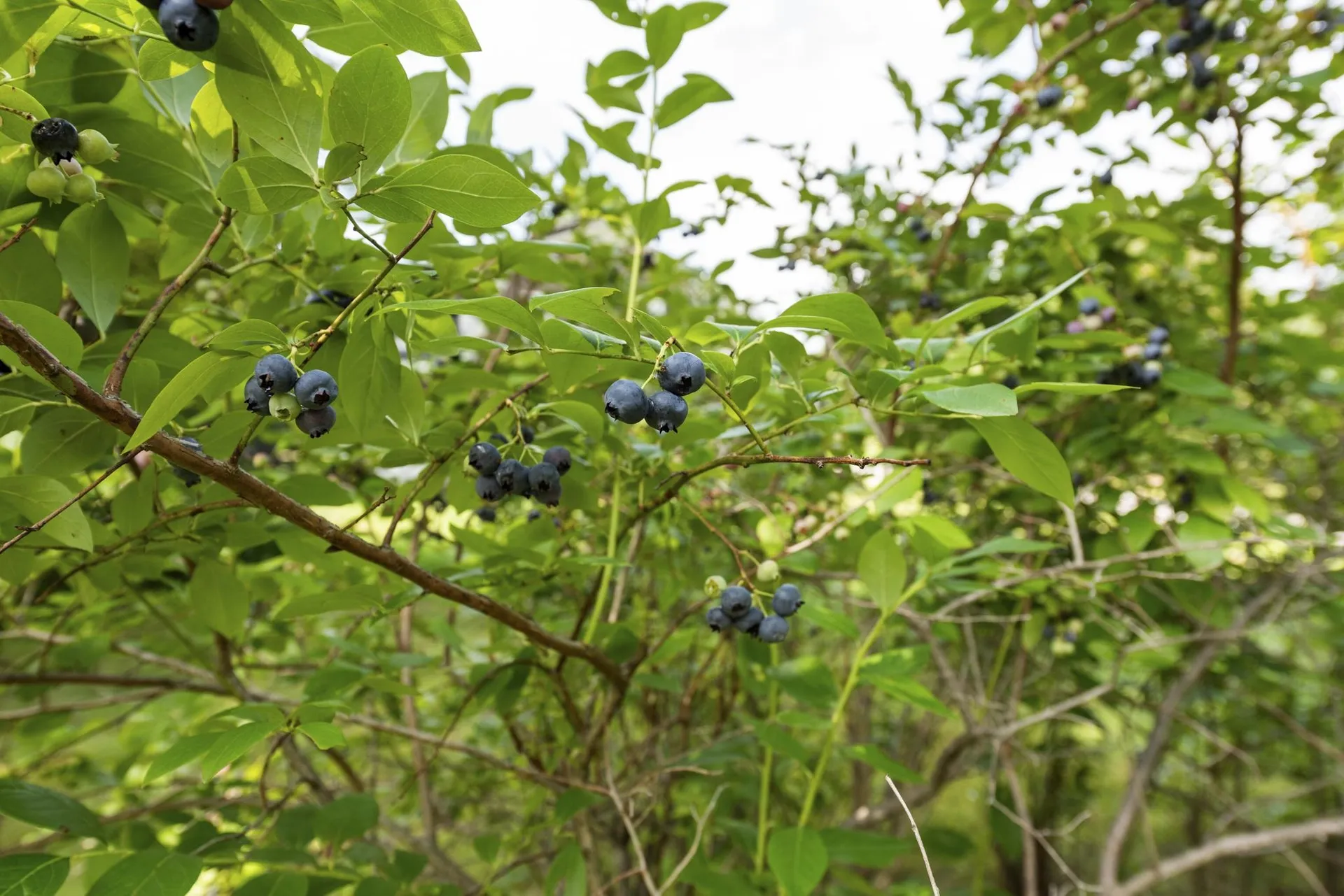 211 Karl Gordon Road Alexandria NH 03222