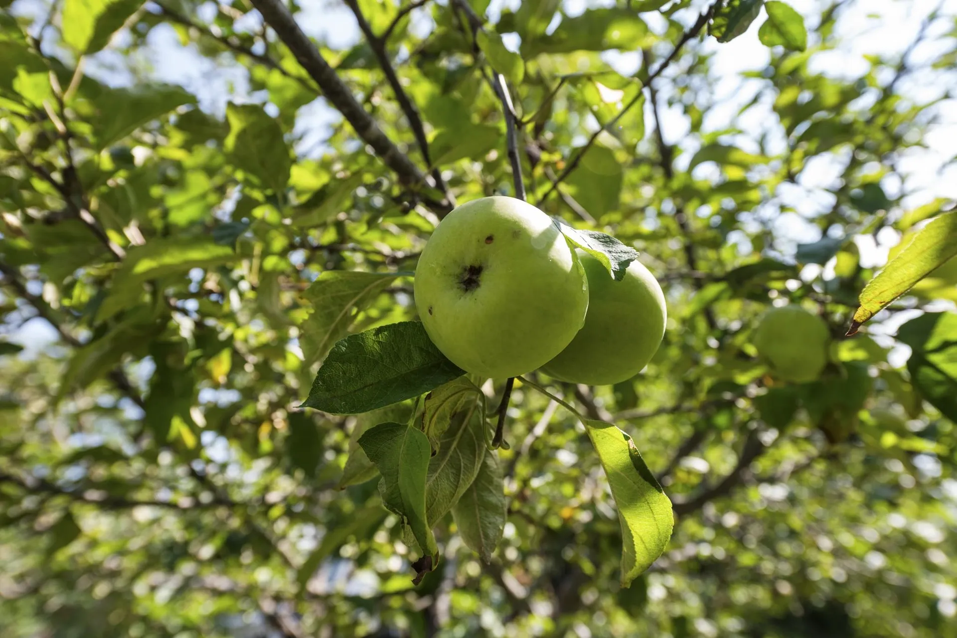 211 Karl Gordon Road Alexandria NH 03222