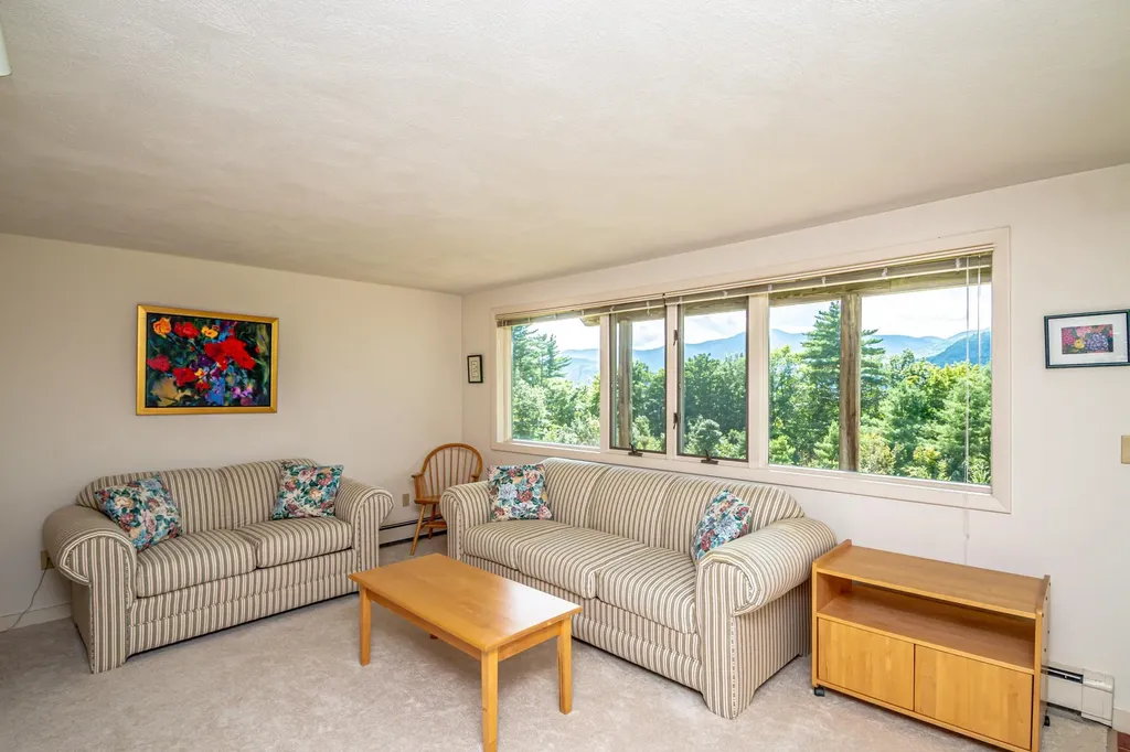 38 Merriman Forest Road Bartlett NH 03812