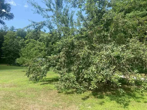 166 Cemetery Road Putney VT 05346