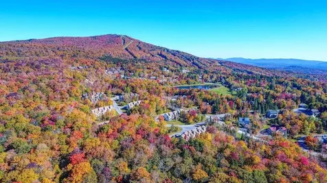 59 Sugar Brook Road Peru VT 05152