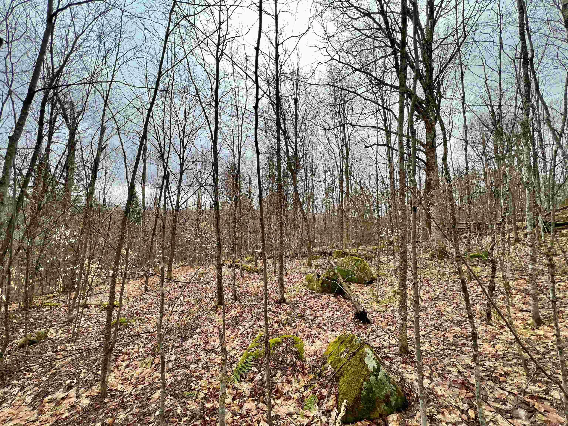 - Old Quarry Road Charleston VT 05872