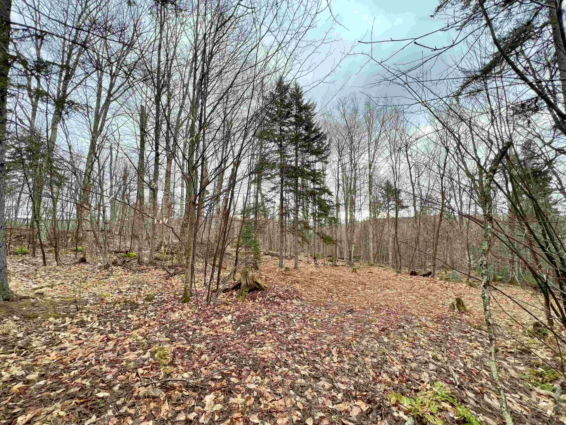 - Old Quarry Road Charleston VT 05872