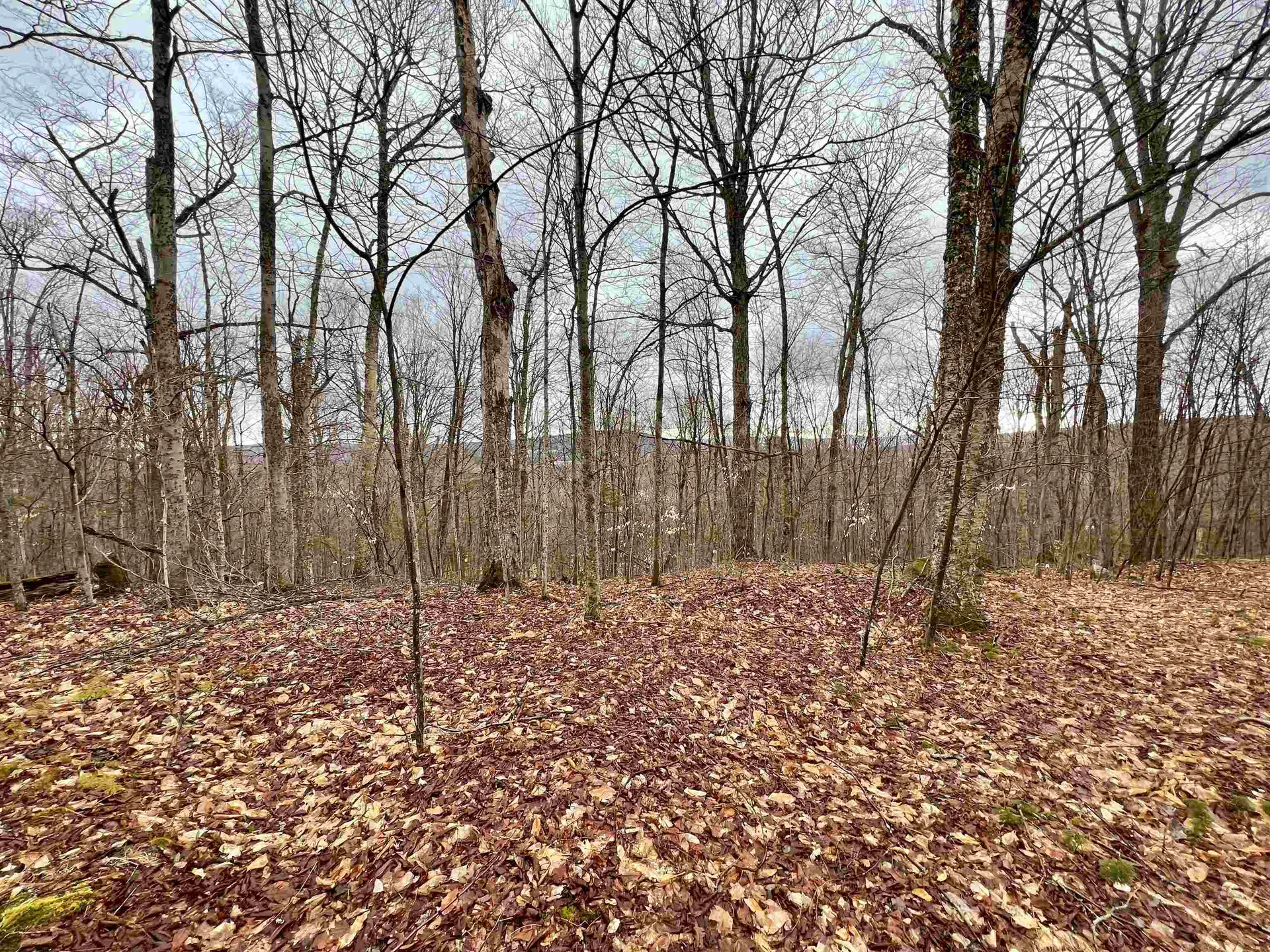 - Old Quarry Road Charleston VT 05872