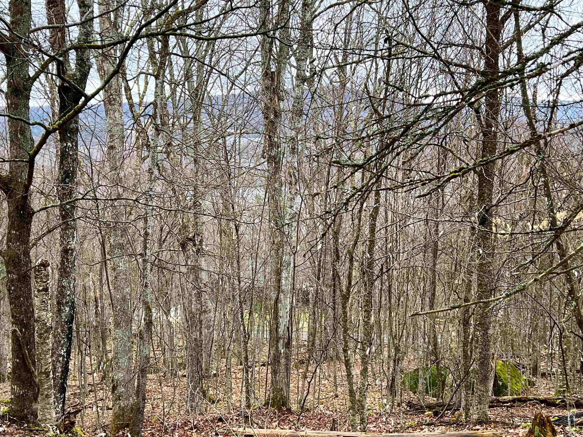 - Old Quarry Road Charleston VT 05872