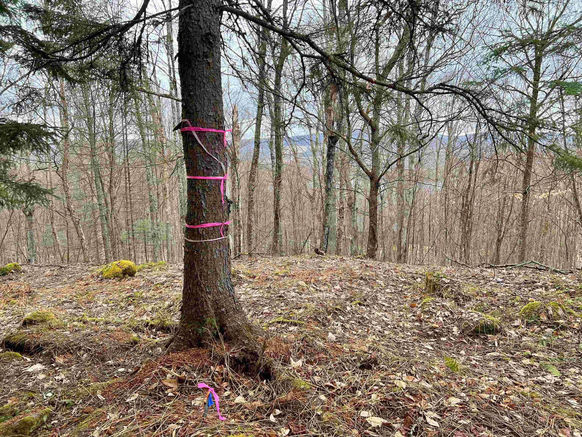 - Old Quarry Road Charleston VT 05872