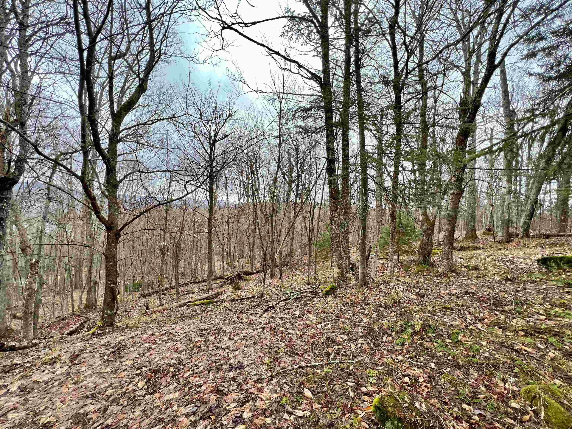 - Old Quarry Road Charleston VT 05872