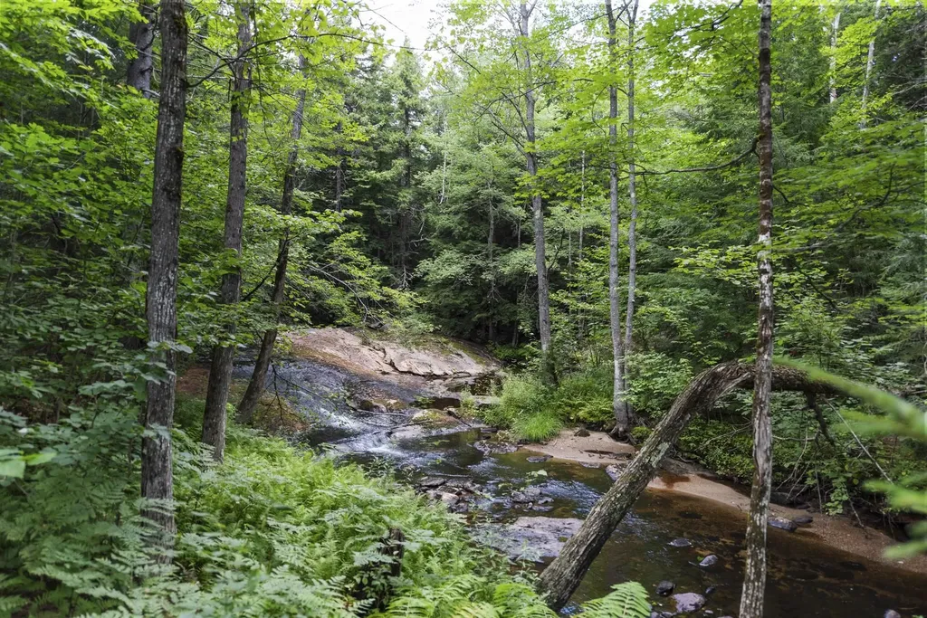 15 Forbes Mountain Road Danbury NH 03230