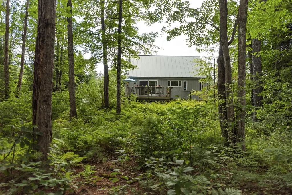 15 Forbes Mountain Road Danbury NH 03230