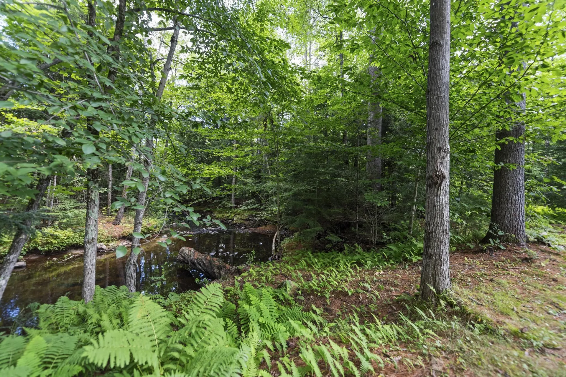 15 Forbes Mountain Road Danbury NH 03230