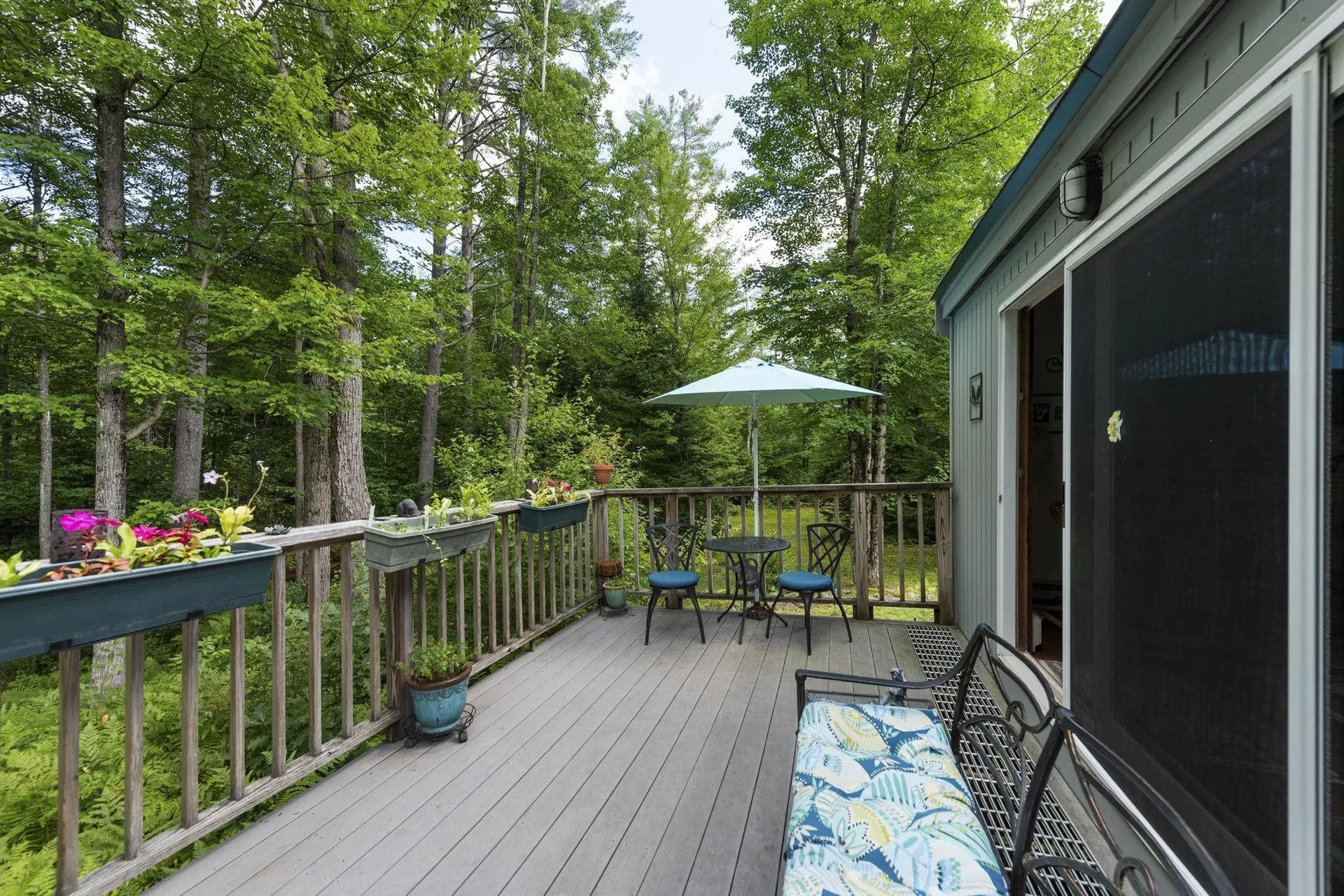 15 Forbes Mountain Road Danbury NH 03230