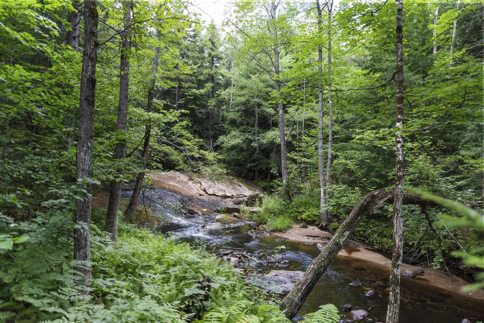 15 Forbes Mountain Road Danbury NH 03230