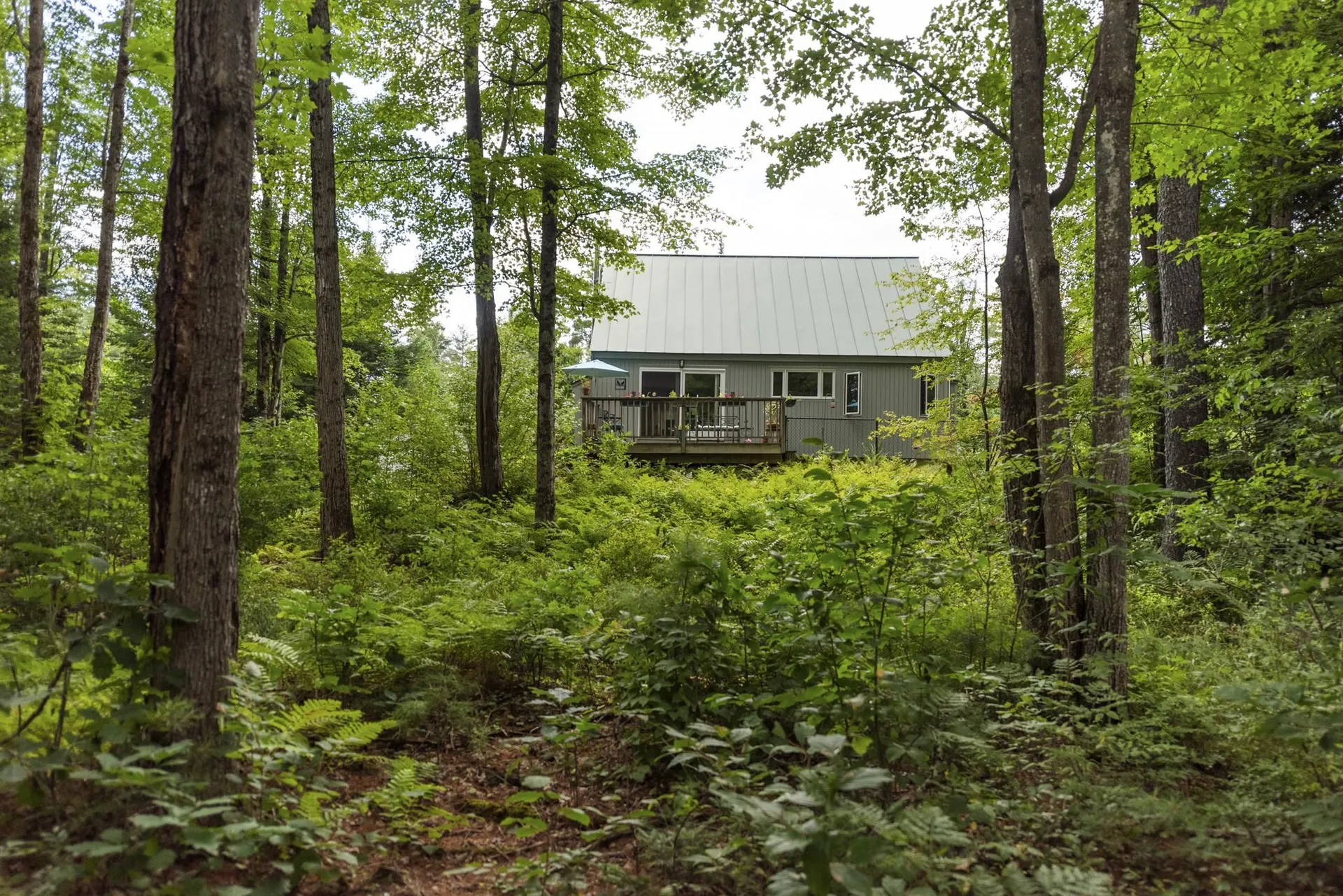 15 Forbes Mountain Road Danbury NH 03230