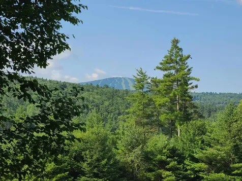 10 Little York Road Winhall VT 05340