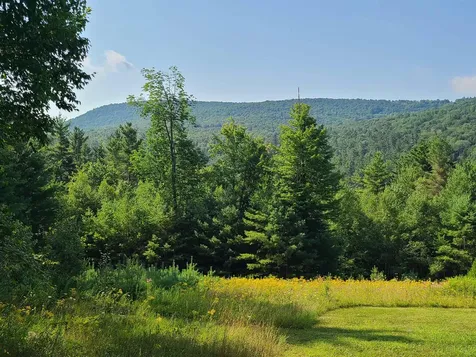 10 Little York Road Winhall VT 05340