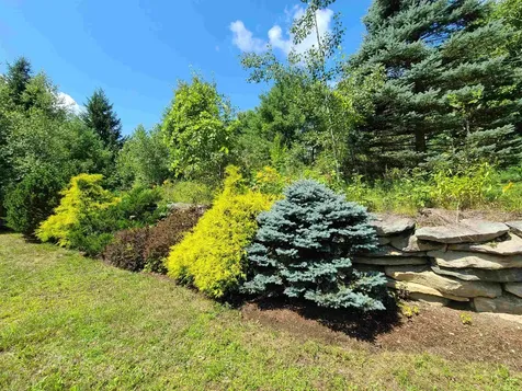 10 Little York Road Winhall VT 05340