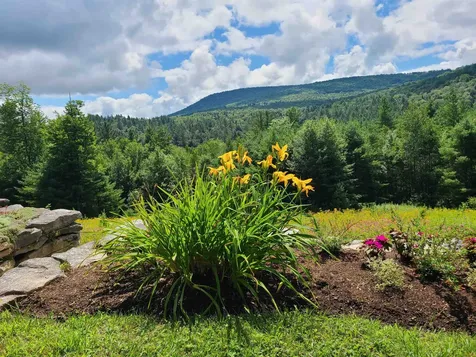 10 Little York Road Winhall VT 05340