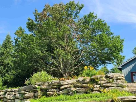 10 Little York Road Winhall VT 05340