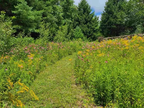 10 Little York Road Winhall VT 05340