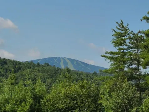 10 Little York Road Winhall VT 05340