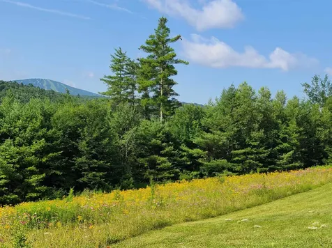 10 Little York Road Winhall VT 05340