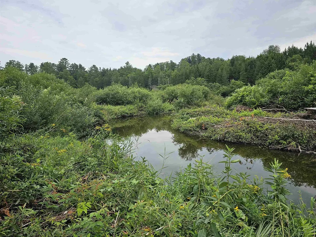 17 Harvey Mountain Road Barnet VT 05821