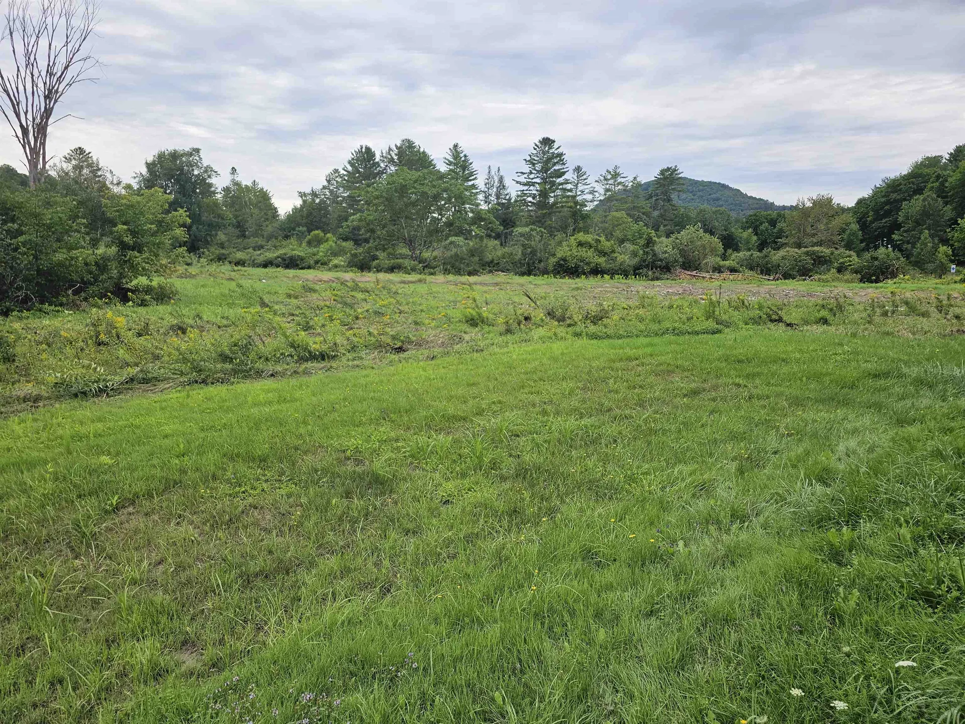 17 Harvey Mountain Road Barnet VT 05821