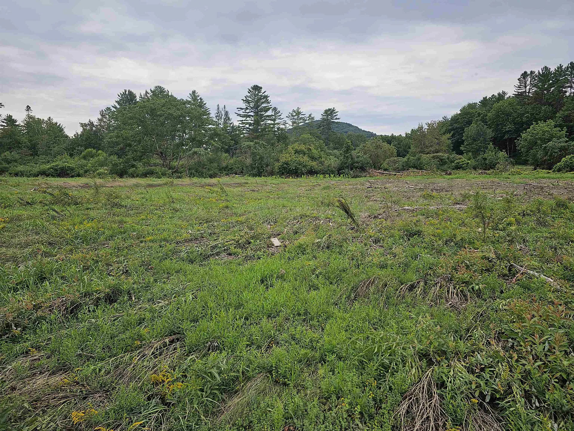 17 Harvey Mountain Road Barnet VT 05821