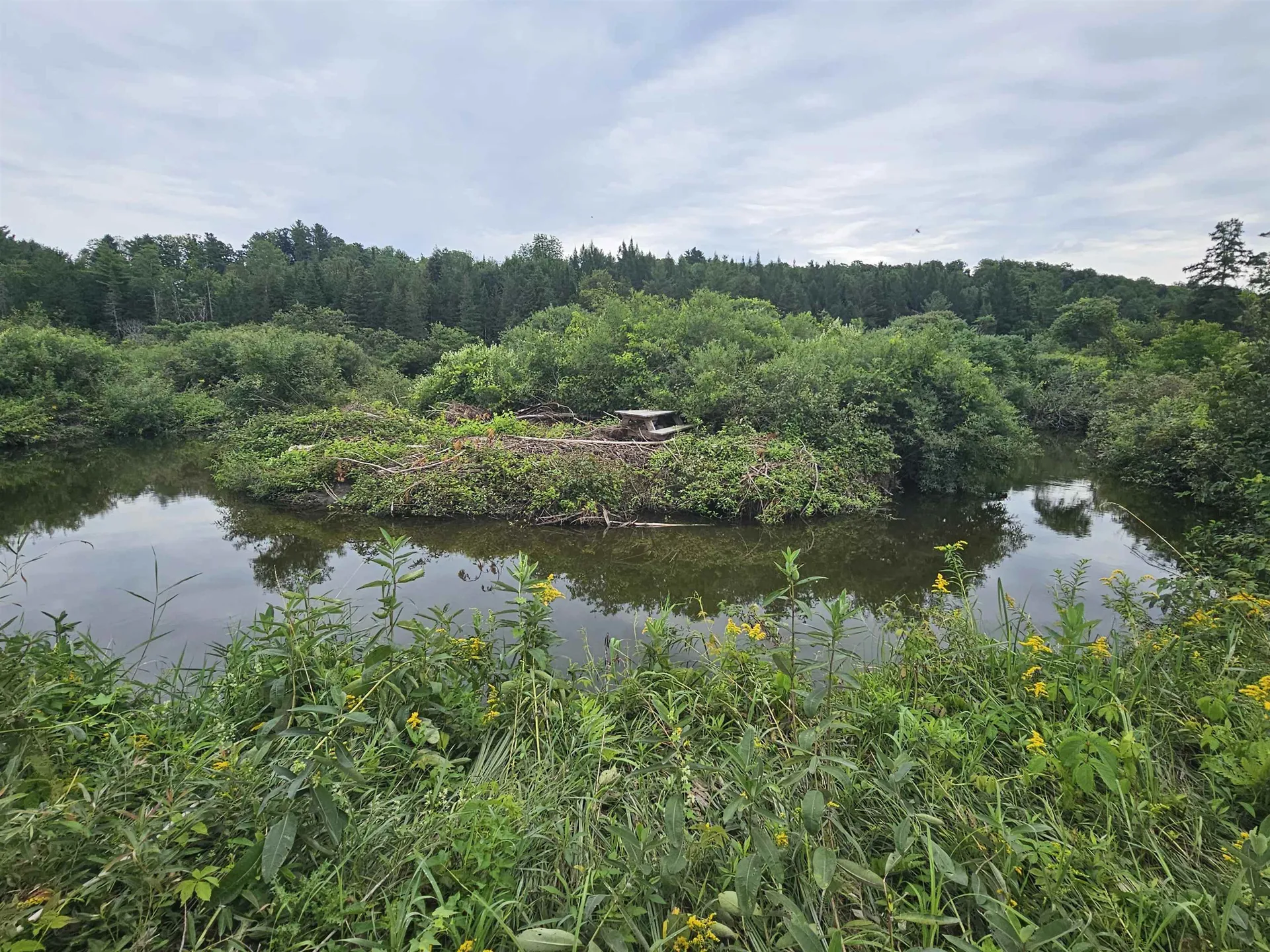 17 Harvey Mountain Road Barnet VT 05821