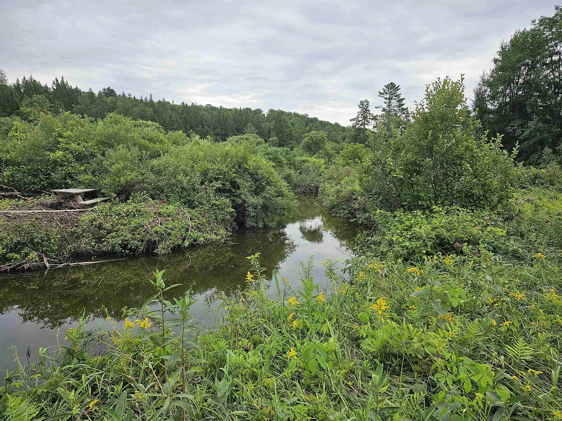 17 Harvey Mountain Road Barnet VT 05821