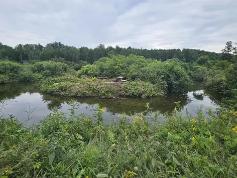 17 Harvey Mountain Road Barnet VT 05821