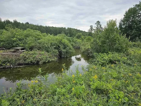 17 Harvey Mountain Road Barnet VT 05821