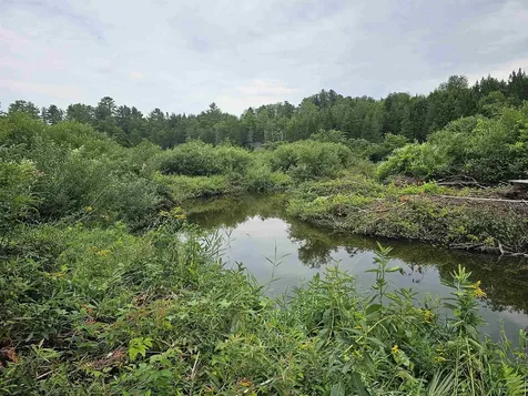 17 Harvey Mountain Road Barnet VT 05821