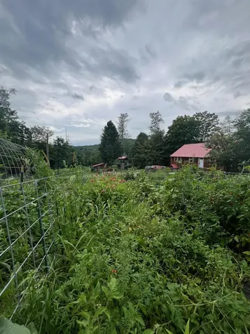 1114 Route 12 Westmoreland NH 03467