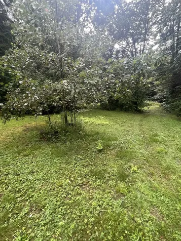 603 Corporation Road Rochester VT 05767