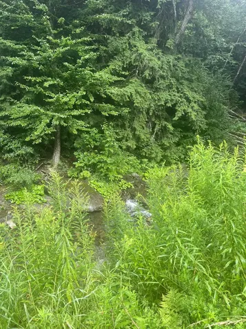 603 Corporation Road Rochester VT 05767
