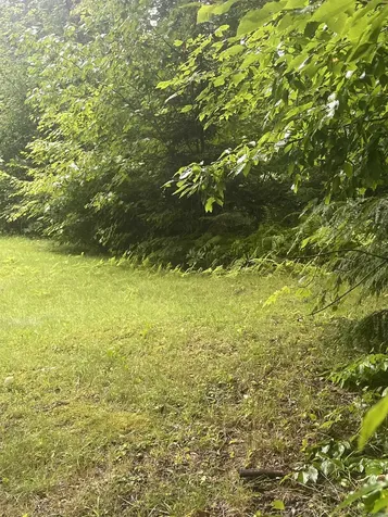 603 Corporation Road Rochester VT 05767