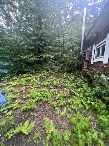603 Corporation Road Rochester VT 05767