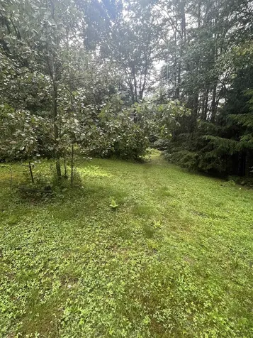 603 Corporation Road Rochester VT 05767