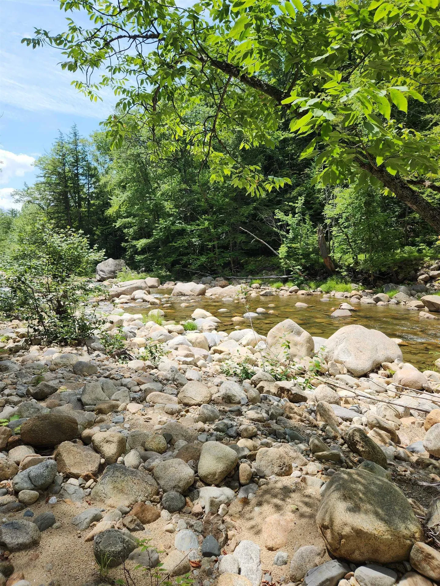 38 Waterfront Road Bartlett NH 03812