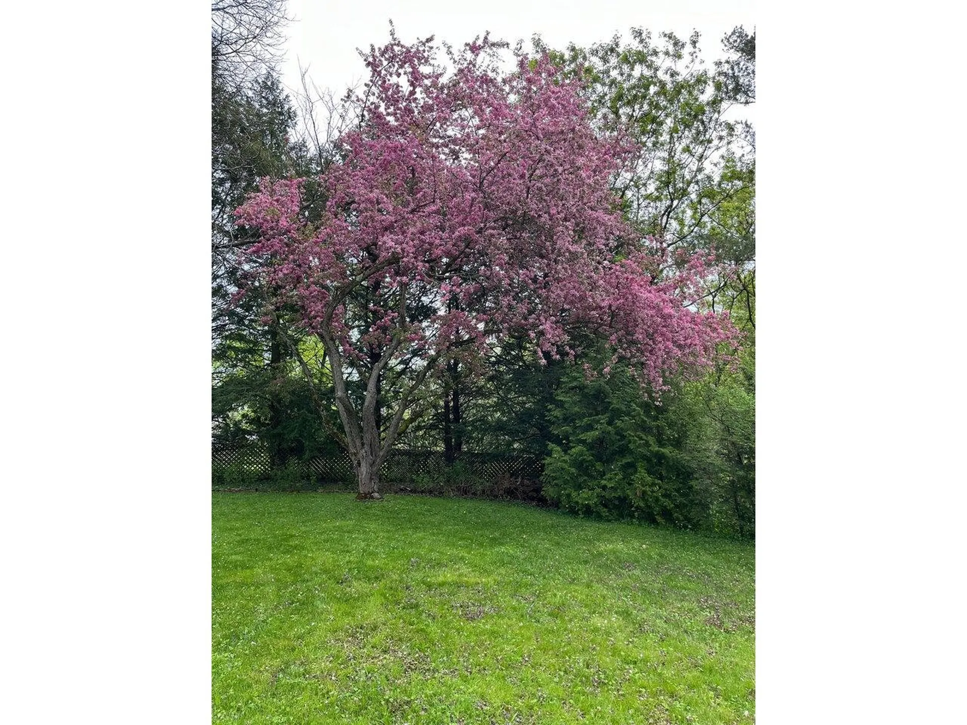 284 Stonybrook Drive Williston VT 05495